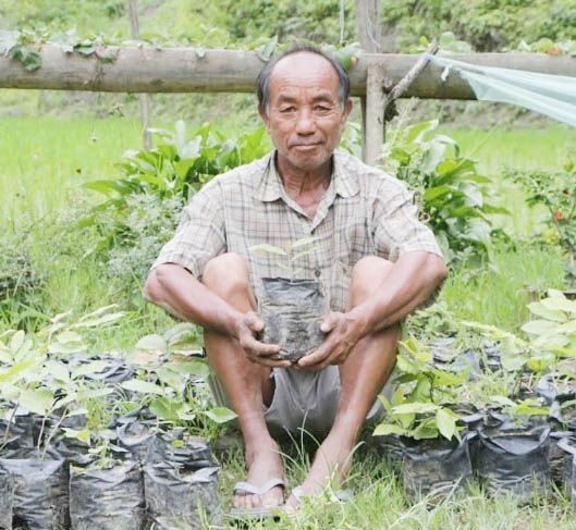 Pfuchukha, a farmer who was roped in by tEA to raise nurseries for the ‘Trees for Wealth’ movement. (Photo Courtesy: Entrepreneurs Associates)